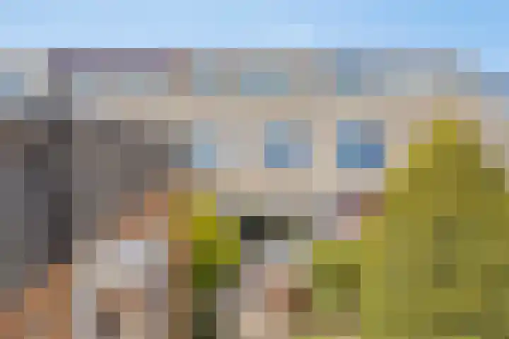 Guurtje Riemenshof 9 Leiden thumbnail 13