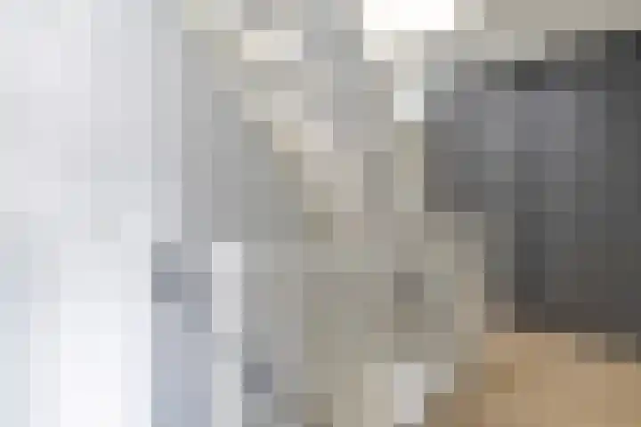 Guurtje Riemenshof 9 Leiden thumbnail 15