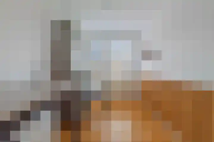 Guurtje Riemenshof 9 Leiden thumbnail 22