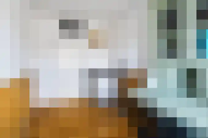 Guurtje Riemenshof 9 Leiden thumbnail 23