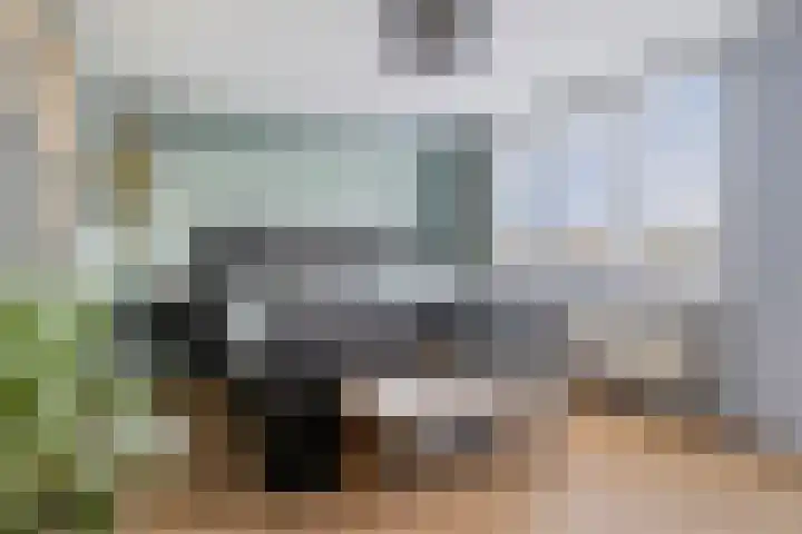 Guurtje Riemenshof 9 Leiden thumbnail 26