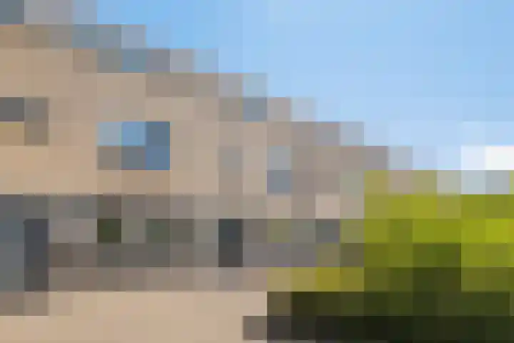 Guurtje Riemenshof 9 Leiden thumbnail 39