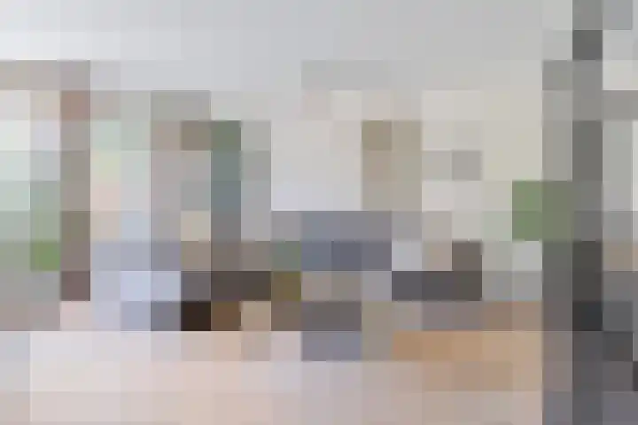 Guurtje Riemenshof 9 Leiden thumbnail 4