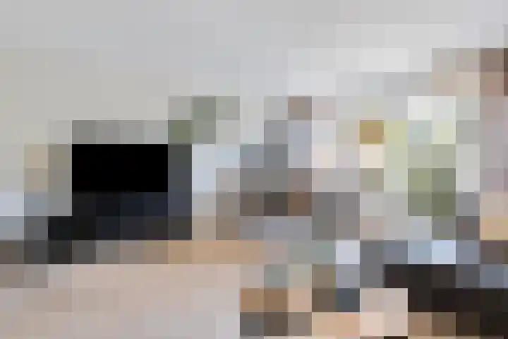 Guurtje Riemenshof 9 Leiden thumbnail 5