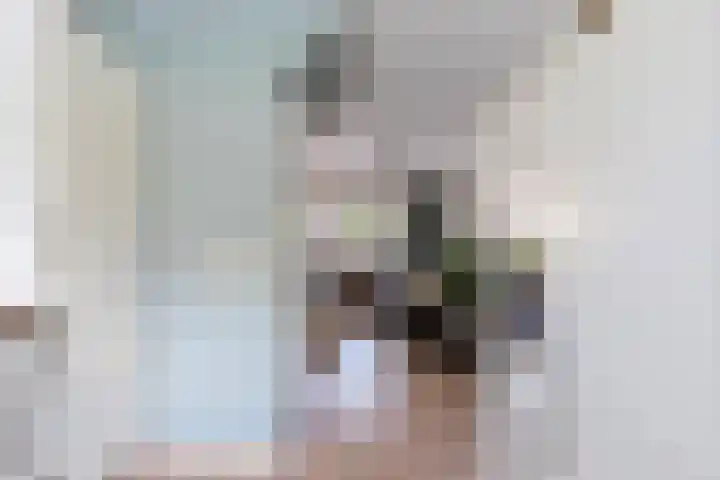 Guurtje Riemenshof 9 Leiden thumbnail 7