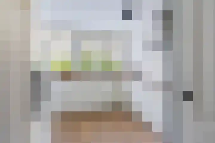 Guurtje Riemenshof 9 Leiden thumbnail 8
