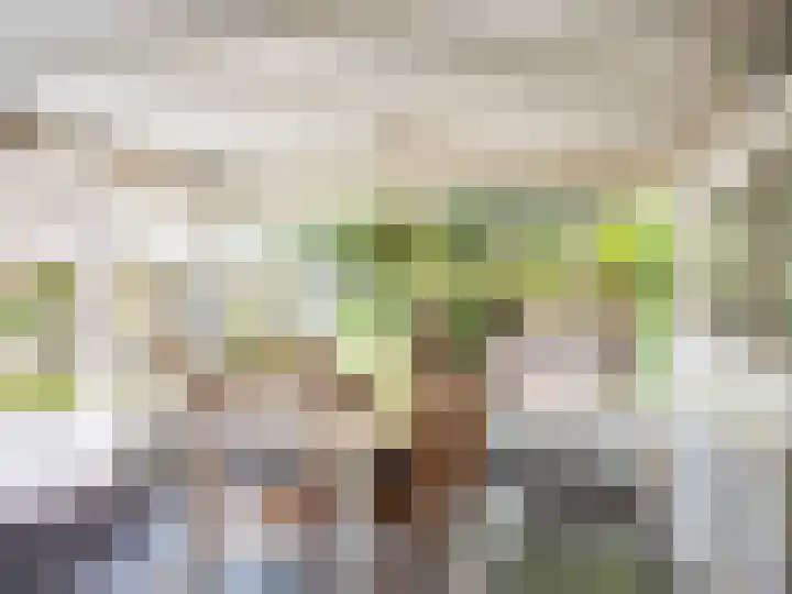Guurtjeslaan 4 Bergen (NH) thumbnail 10