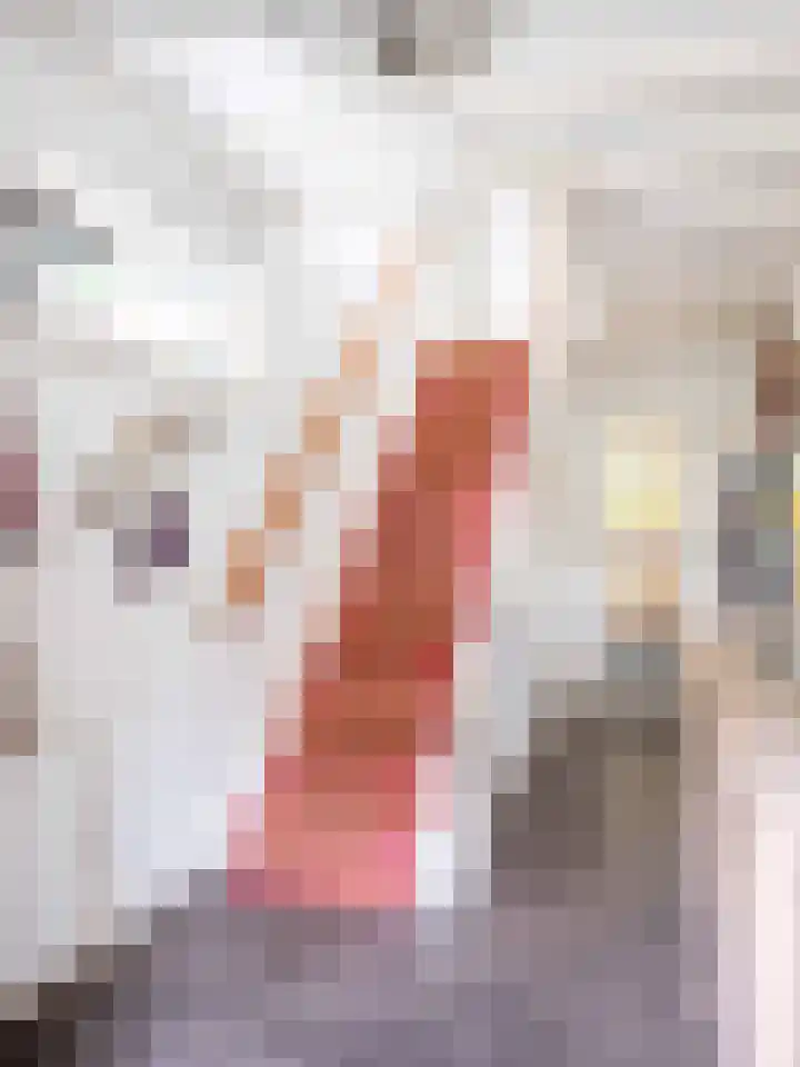 Guurtjeslaan 4 Bergen (NH) thumbnail 18