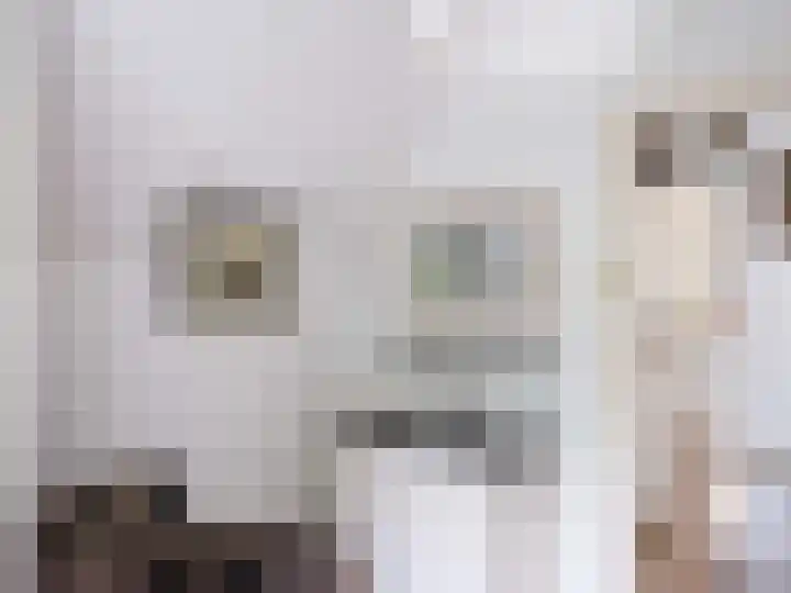 Guurtjeslaan 4 Bergen (NH) thumbnail 21