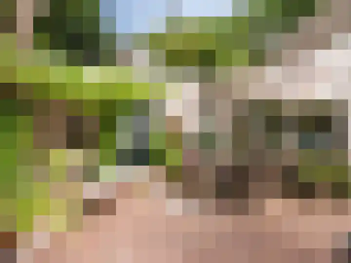 Guurtjeslaan 4 Bergen (NH) thumbnail 31