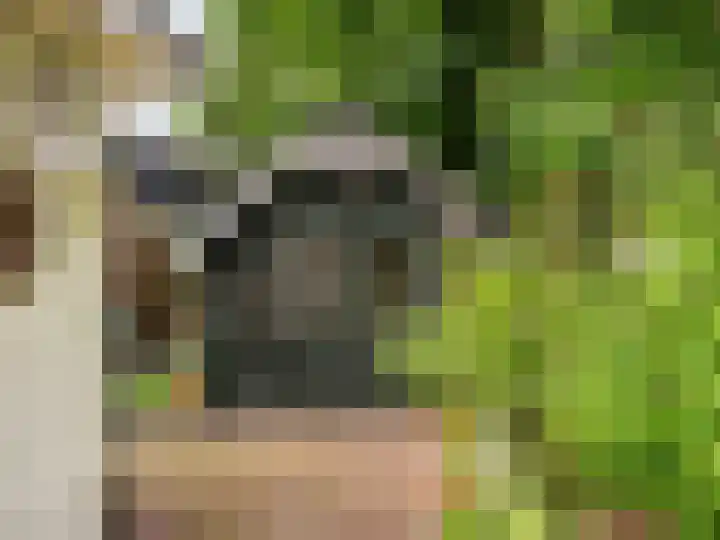 Guurtjeslaan 4 Bergen (NH) thumbnail 32