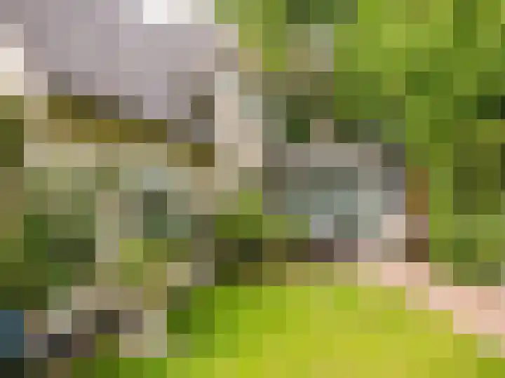 Guurtjeslaan 4 Bergen (NH) thumbnail 33