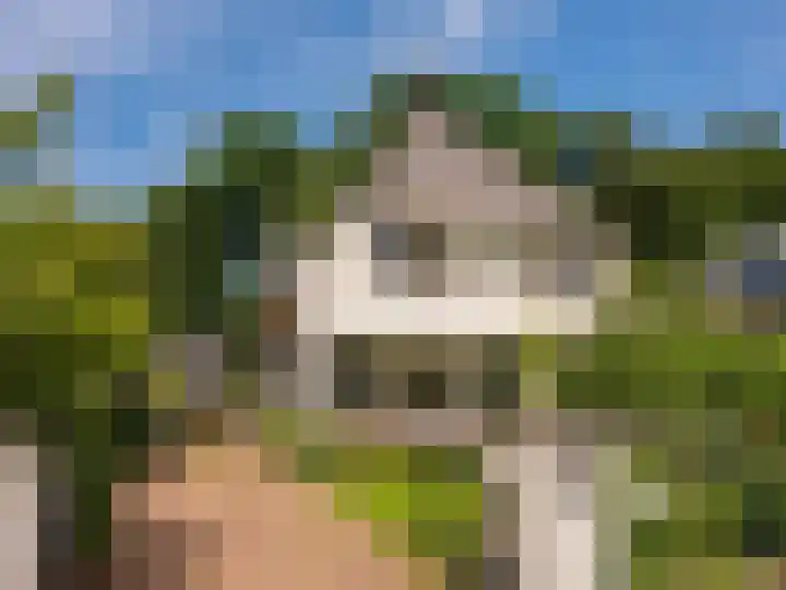 Guurtjeslaan 4 Bergen (NH) thumbnail 44