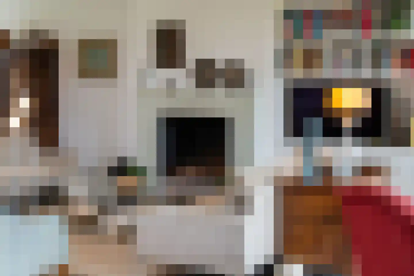 Guurtjeslaan 8 Bergen (NH) thumbnail 13