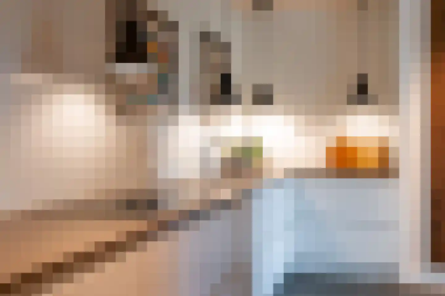 Guurtjeslaan 8 Bergen (NH) thumbnail 17