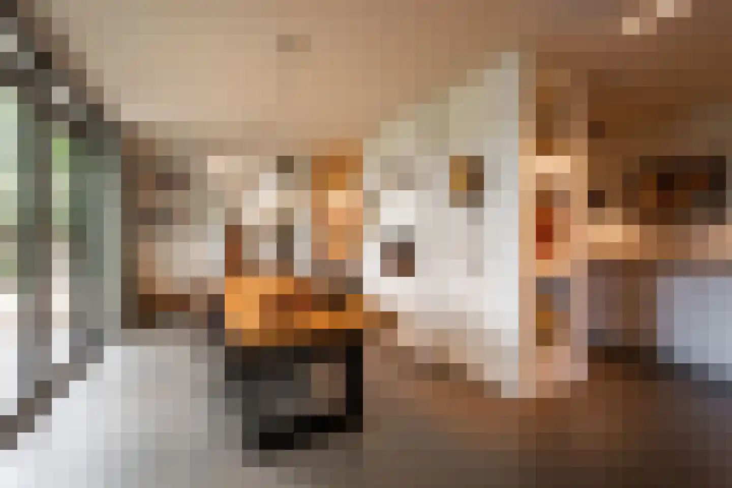 Guurtjeslaan 8 Bergen (NH) thumbnail 23