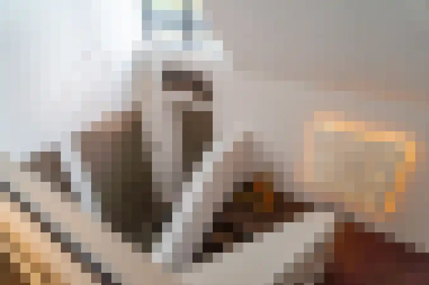Guurtjeslaan 8 Bergen (NH) thumbnail 33