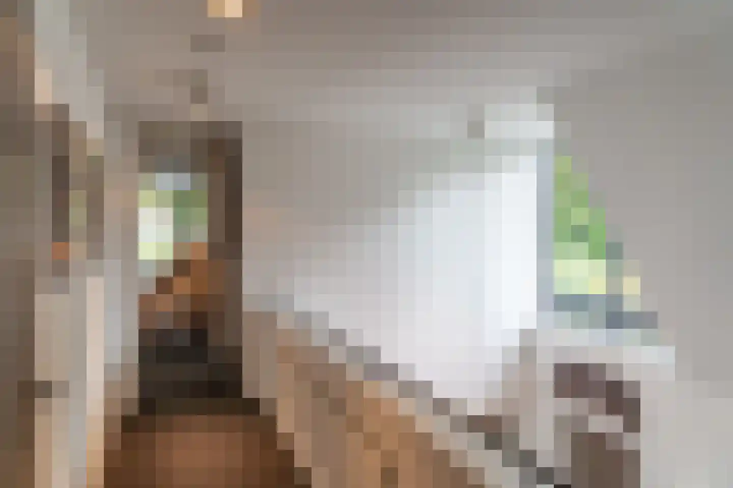 Guurtjeslaan 8 Bergen (NH) thumbnail 35