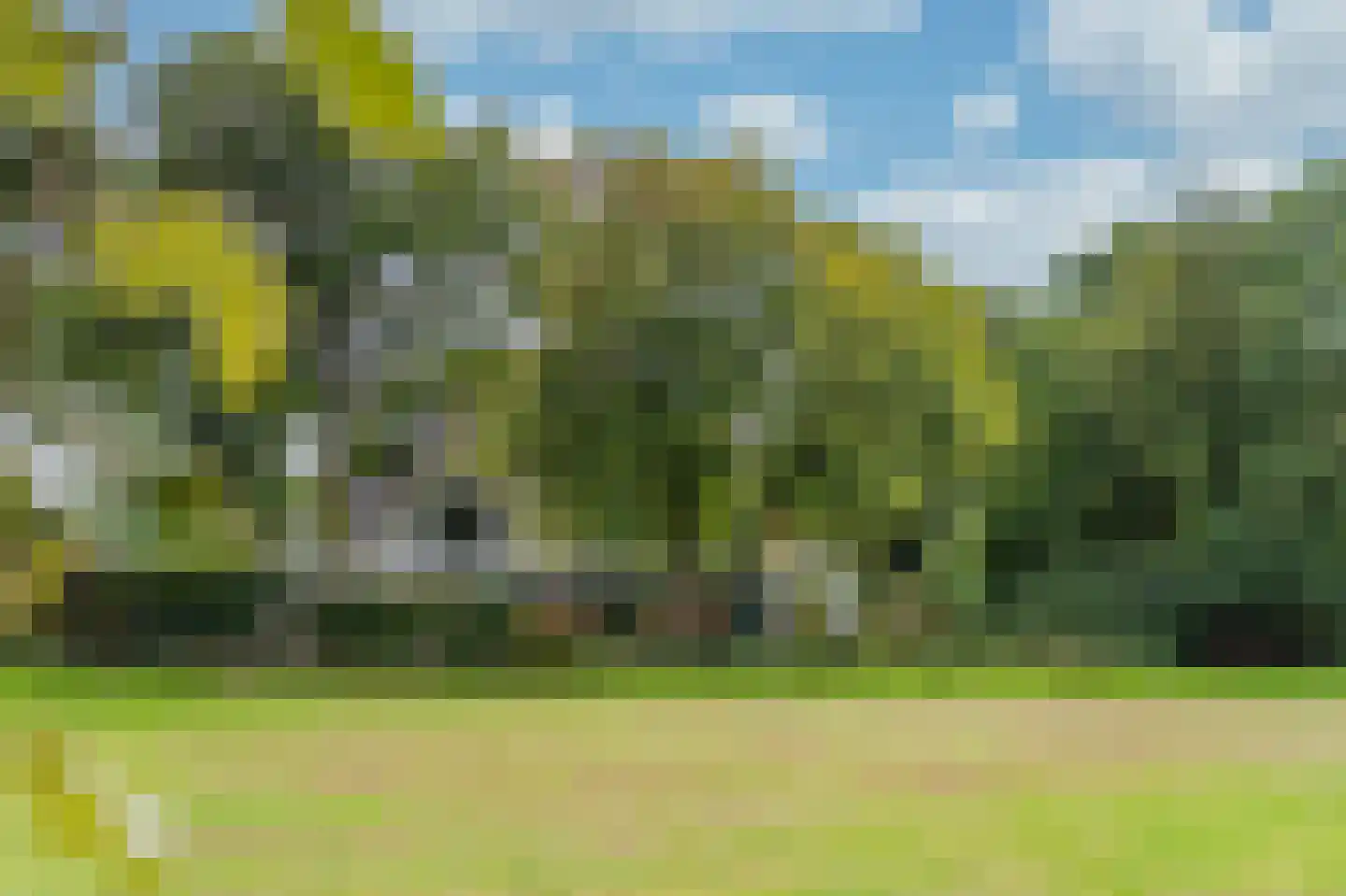 Guurtjeslaan 8 Bergen (NH) thumbnail 4
