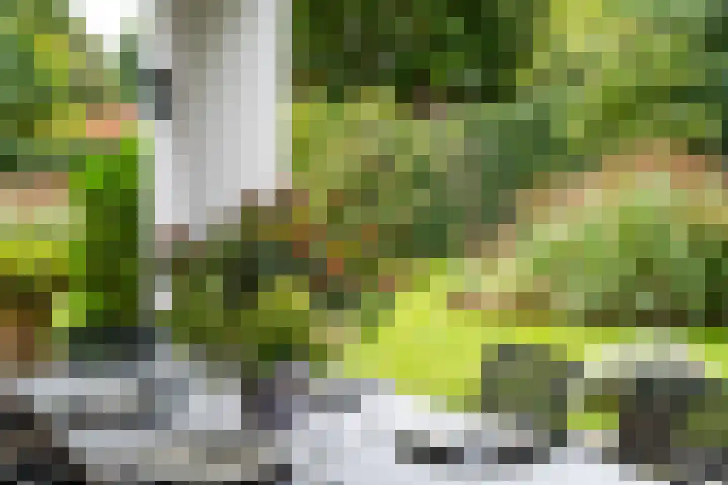 Guurtjeslaan 8 Bergen (NH) thumbnail 45