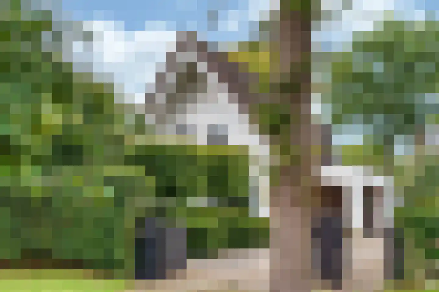 Guurtjeslaan 8 Bergen (NH) thumbnail 47