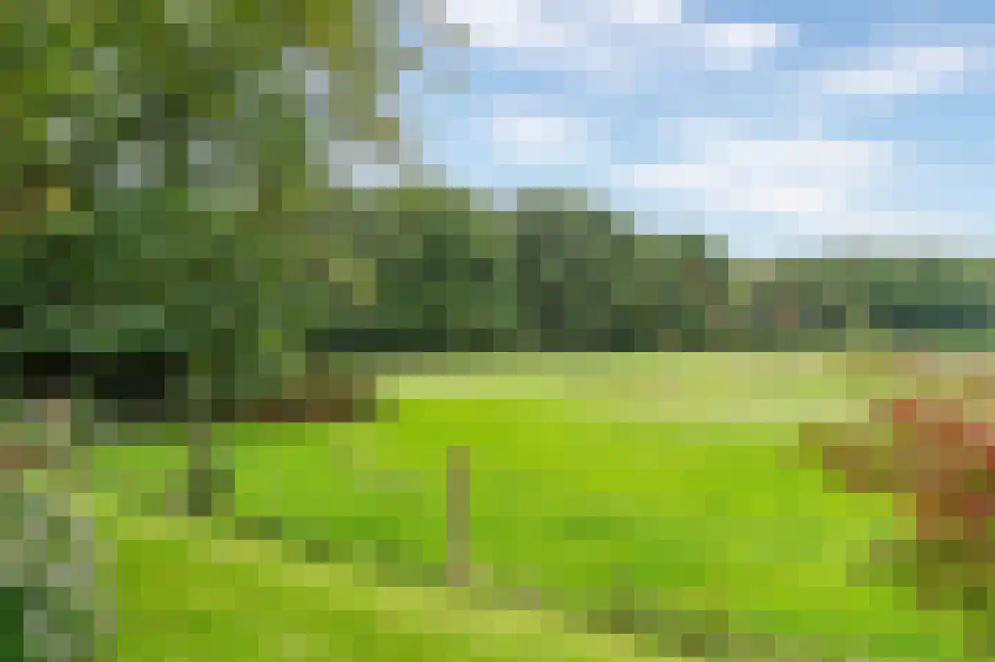 Guurtjeslaan 8 Bergen (NH) thumbnail 50