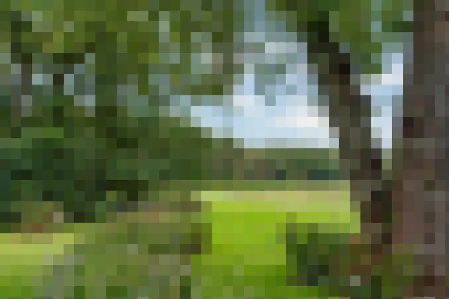 Guurtjeslaan 8 Bergen (NH) thumbnail 51