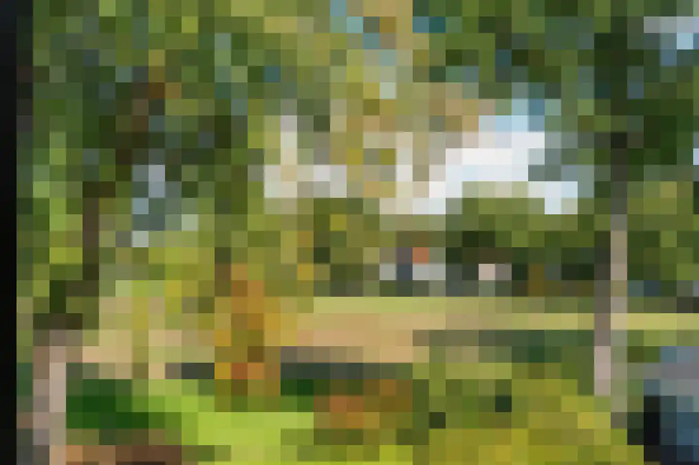 Guurtjeslaan 8 Bergen (NH) thumbnail 52