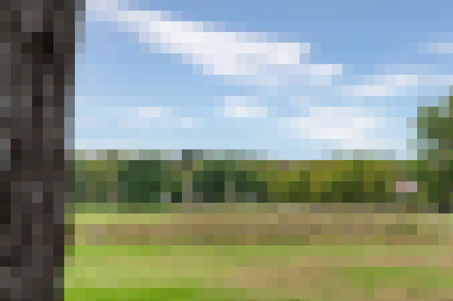 Guurtjeslaan 8 Bergen (NH) thumbnail 53