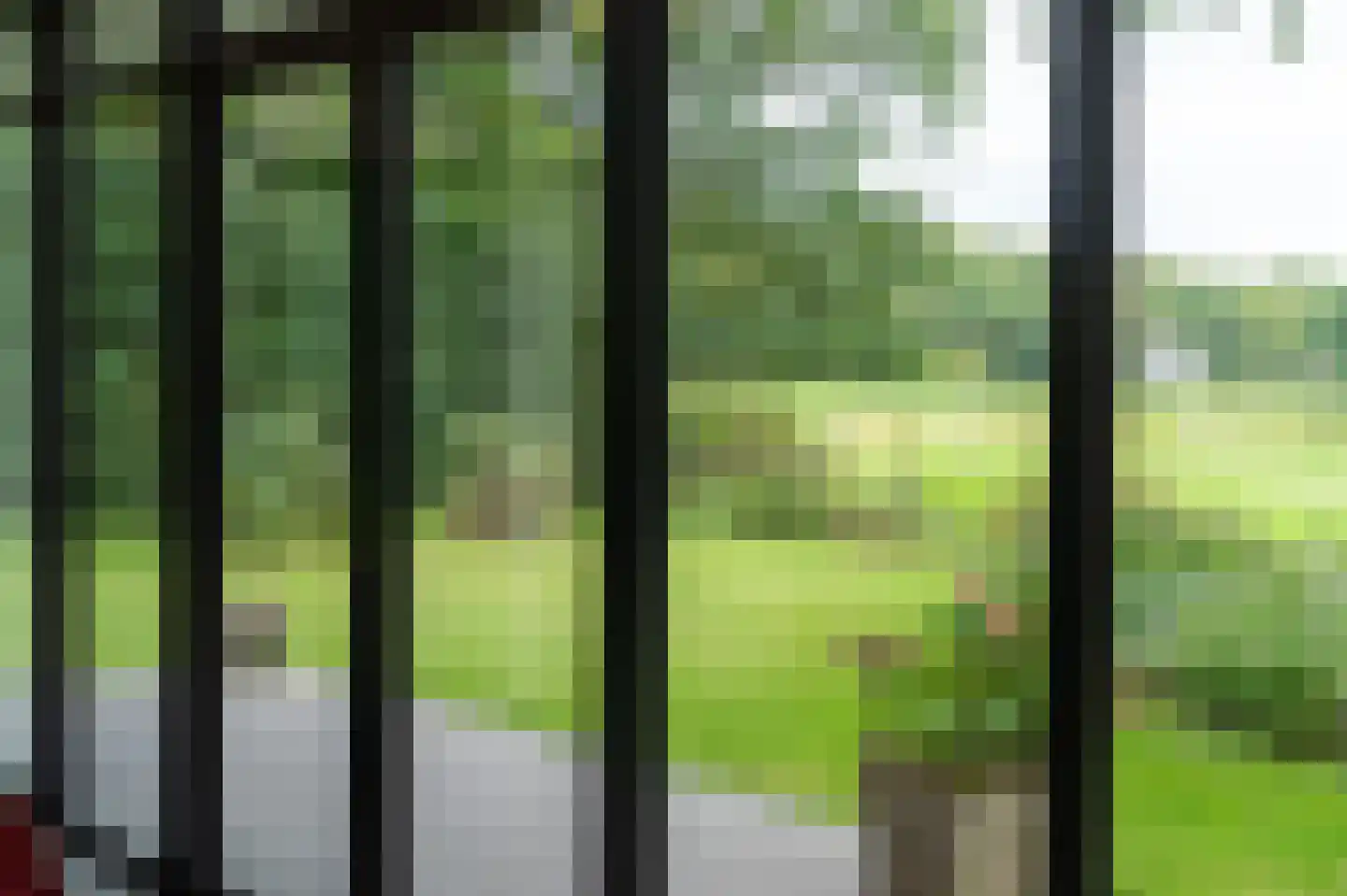 Guurtjeslaan 8 Bergen (NH) thumbnail 6