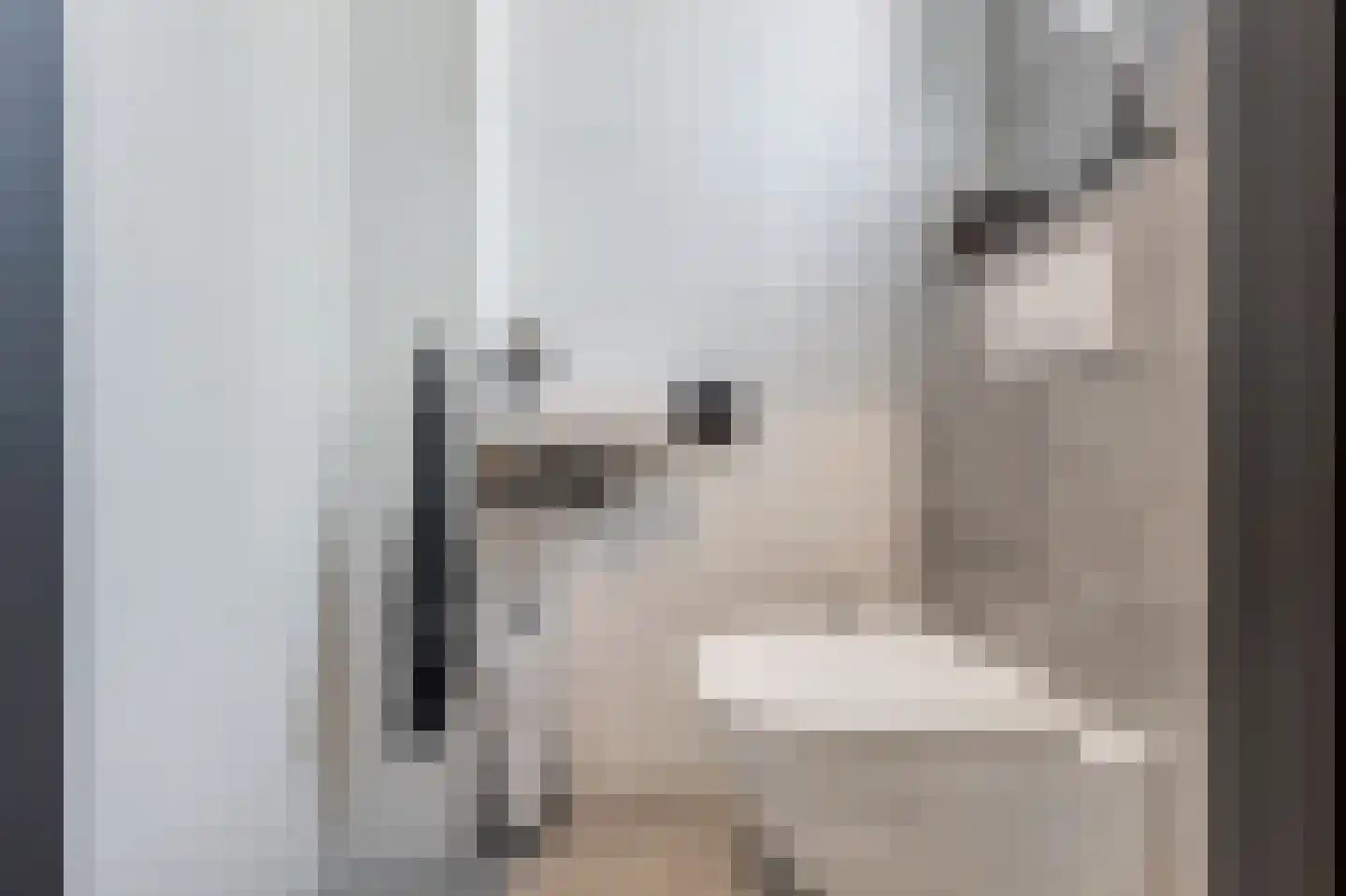 Guurtjesmarken 12 Assendelft thumbnail 14