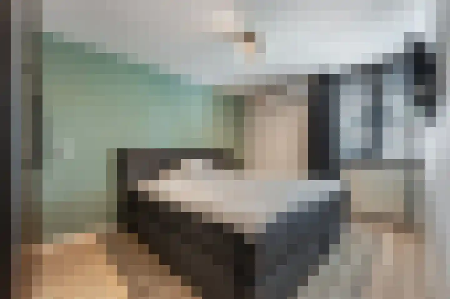 Guurtjesmarken 12 Assendelft thumbnail 15