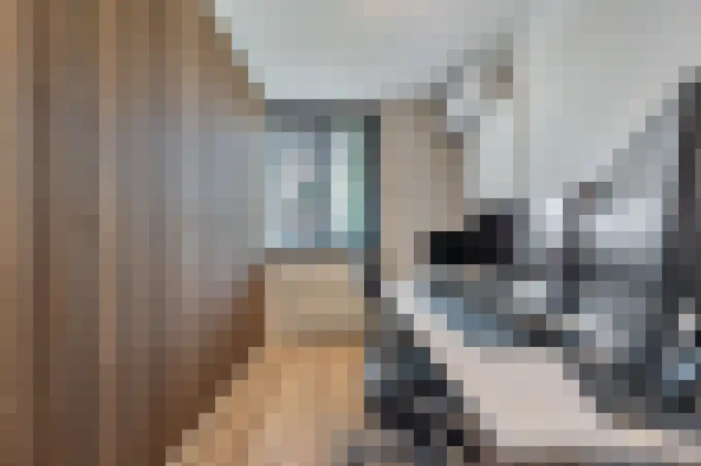 Guurtjesmarken 12 Assendelft thumbnail 19