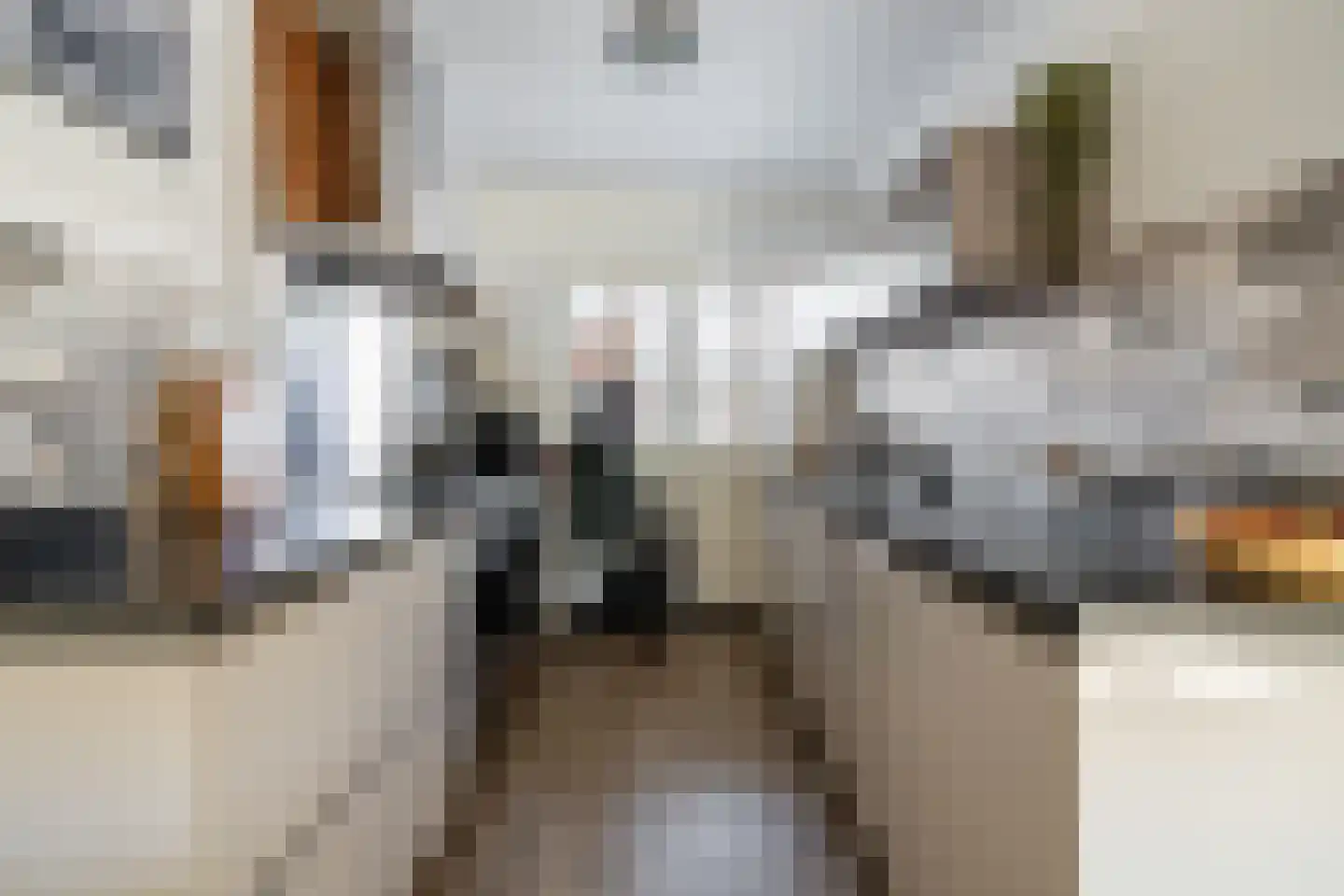 Guurtjesmarken 14 Assendelft thumbnail 19