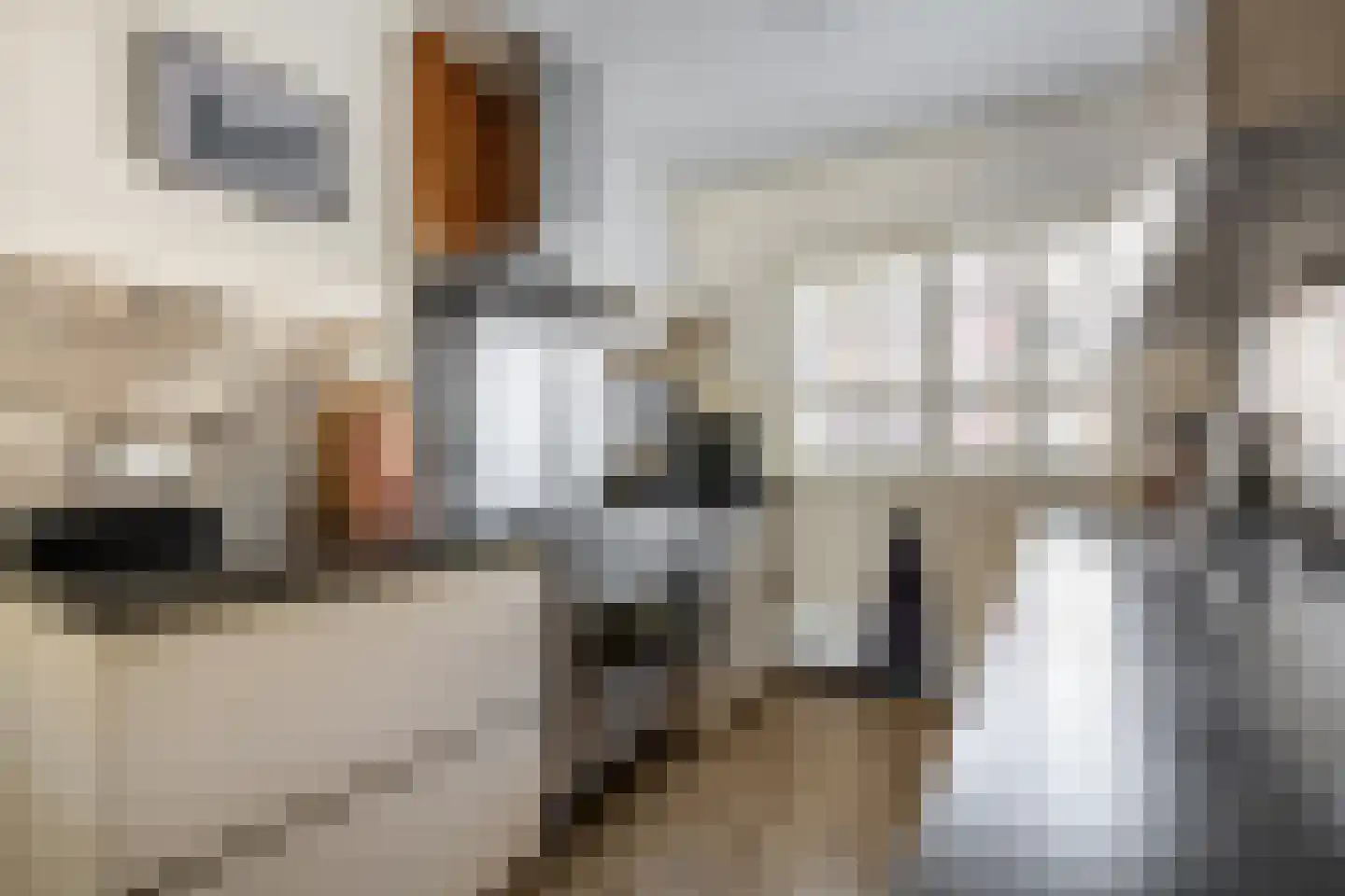 Guurtjesmarken 14 Assendelft thumbnail 20