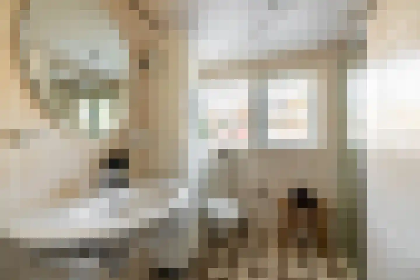 Guurtjesmarken 14 Assendelft thumbnail 31