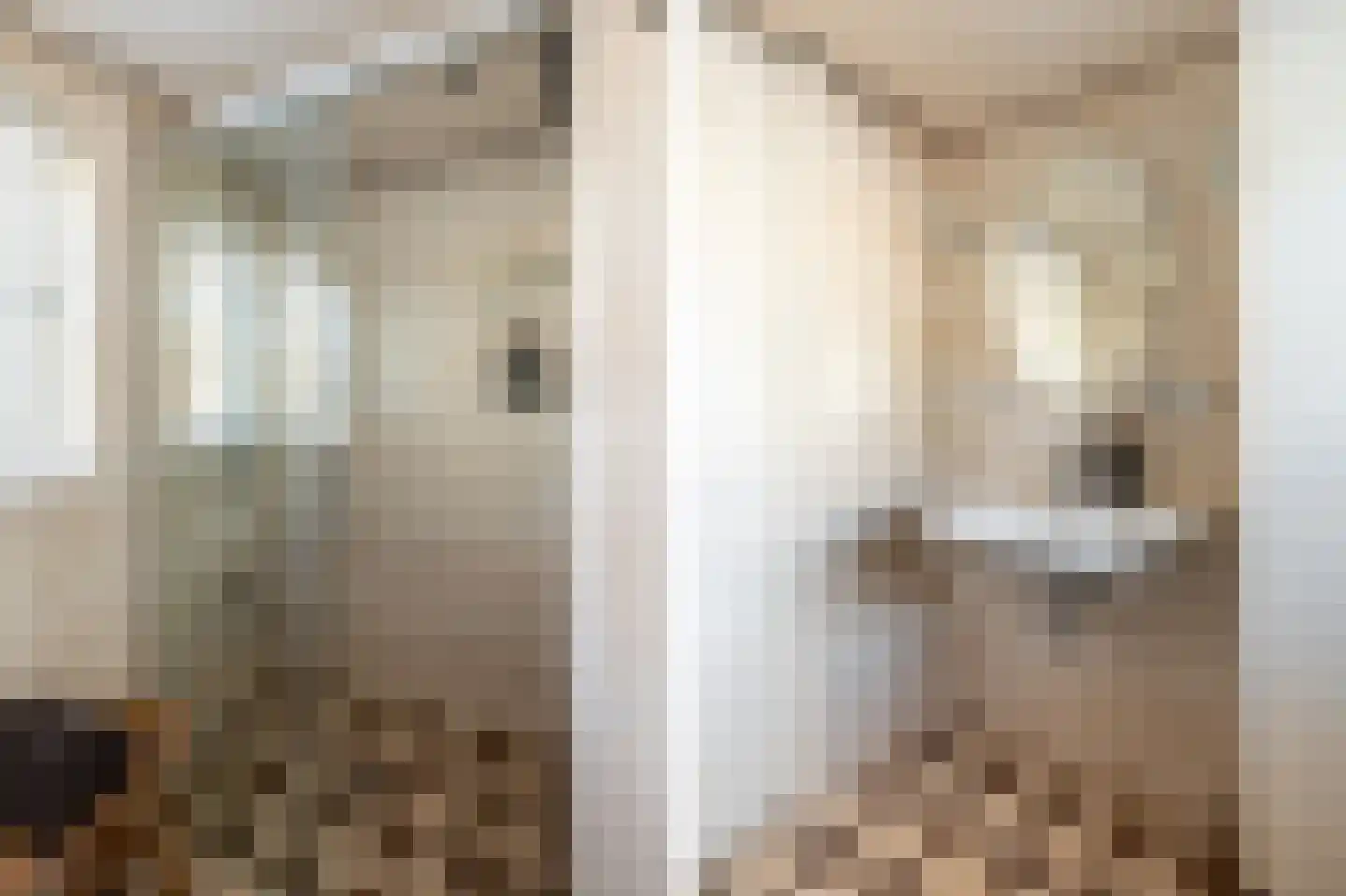 Guurtjesmarken 14 Assendelft thumbnail 33