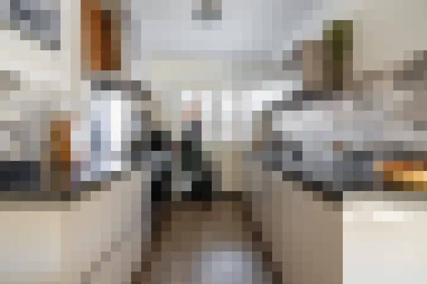 Guurtjesmarken 14 Assendelft thumbnail 4
