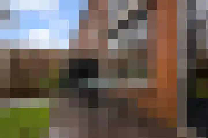 Guurtjesmarken 41 Assendelft thumbnail 16