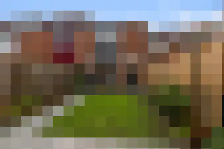 Guurtjesmarken 41 Assendelft thumbnail 20