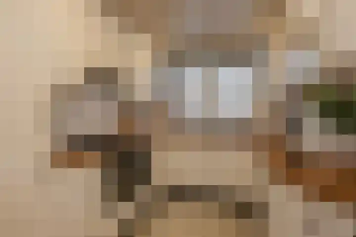 Guurtjesmarken 41 Assendelft thumbnail 4