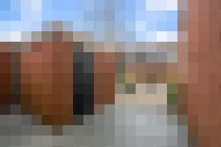 Guurtjesmarken 41 Assendelft thumbnail 5