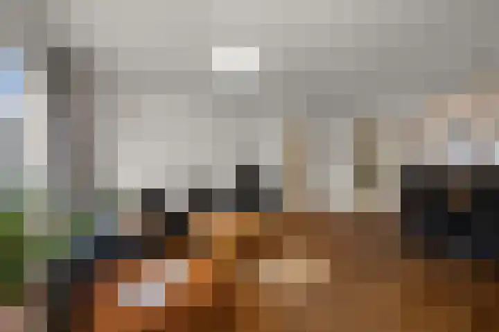 Guurtjesmarken 41 Assendelft thumbnail 7