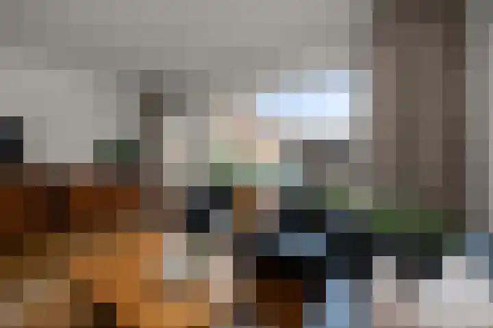 Guurtjesmarken 41 Assendelft thumbnail 9