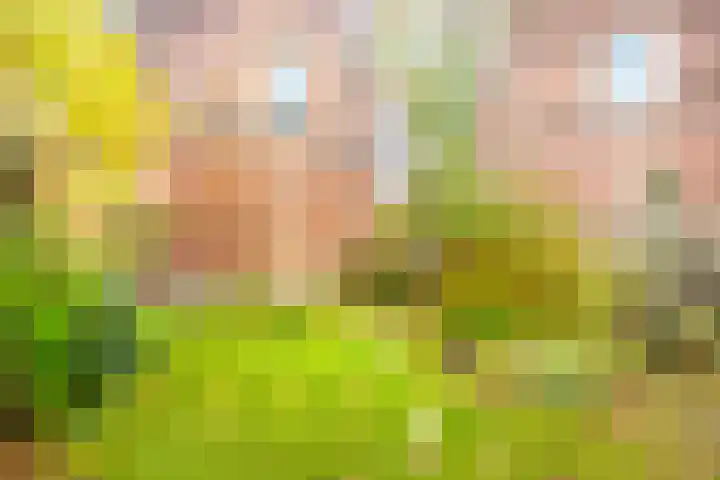 Logo van Guus Brüggemann Makelaardij