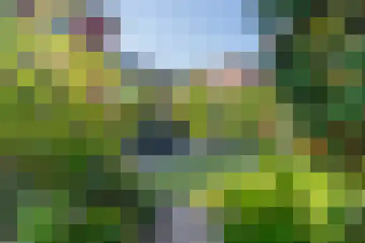 Guus Gelukstraat 5 Almere thumbnail 30