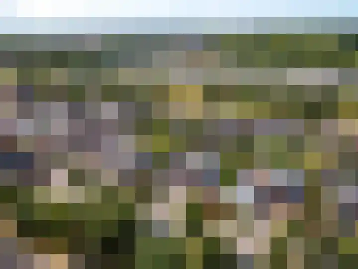 Guus Gelukstraat 5 Almere thumbnail 59