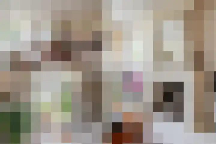 Guus Reitsmahof 11 Oegstgeest thumbnail 10