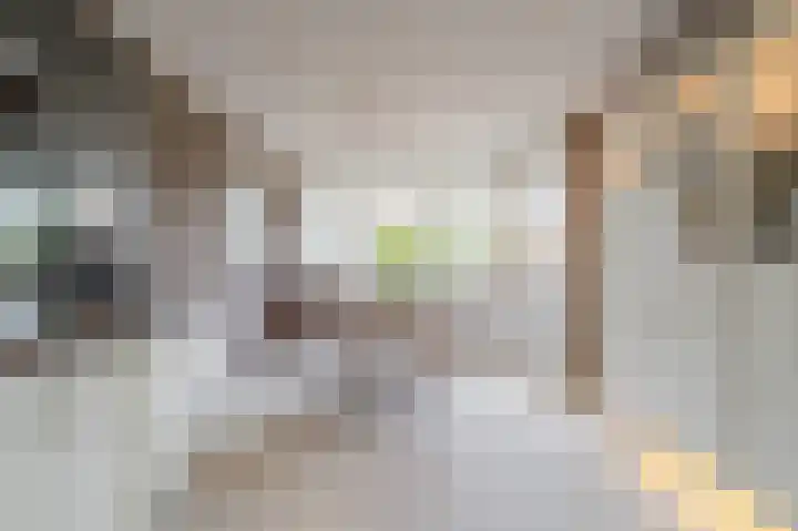 Guus Reitsmahof 11 Oegstgeest thumbnail 17