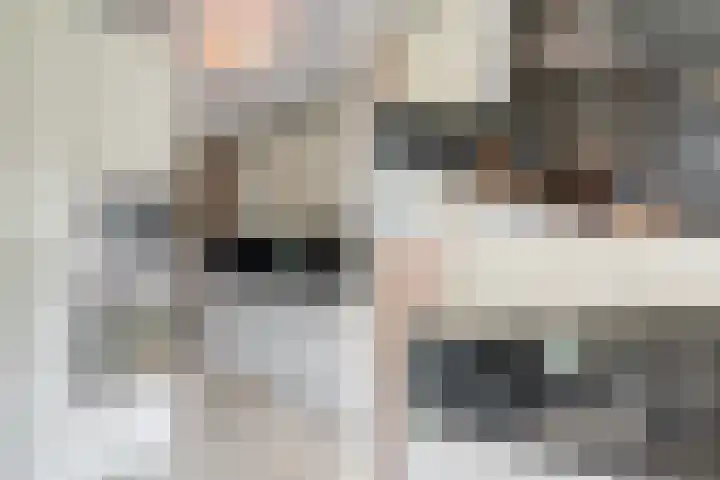 Guus Reitsmahof 11 Oegstgeest thumbnail 18